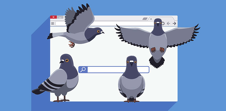  گوگل بعد از پنگوئن، مرغ مگس خوار و پاندا تصمیم گرفت کبوتری را به قفسه حیواناتش اضافه کند.